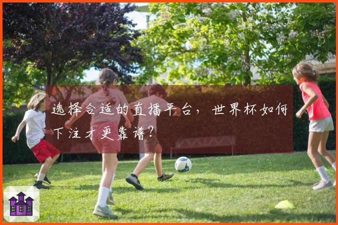 选择合适的直播平台，世界杯如何下注才更靠谱？