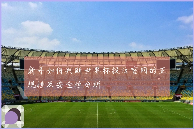 新手如何判断世界杯投注官网的正规性及安全性分析