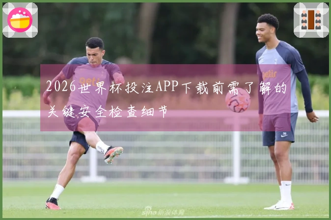 2026世界杯投注APP下载前需了解的关键安全检查细节